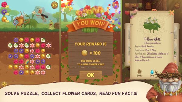 Flower Book Match3 Puzzle Game 1