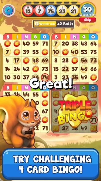 Bingo Pet Rescue 1