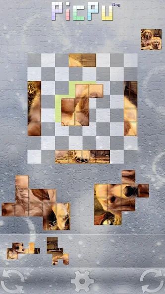 PicPu – Dog Picture Puzzle 1