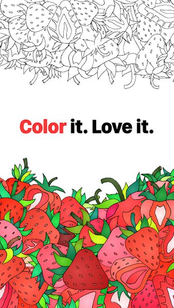 Jolly Paint: Coloring Book 1