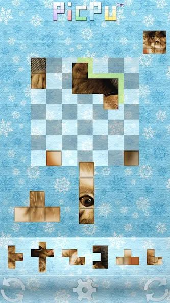 PicPu – Cat Picture Puzzle 1