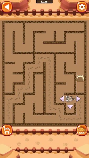 Maze Cat – Rookie 1