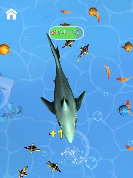 Shark Frenzy 3D 1