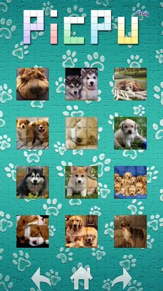 PicPu – Dog Picture Puzzle 1