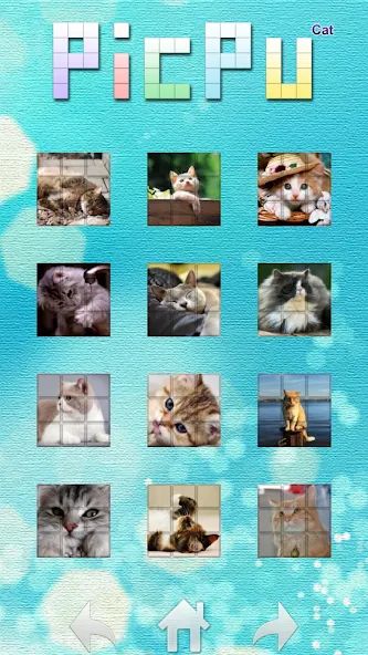 PicPu – Cat Picture Puzzle 1