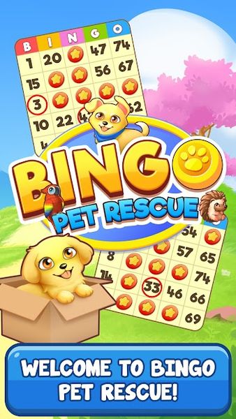 Bingo Pet Rescue 1