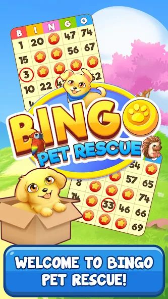 Bingo Pet Rescue 1