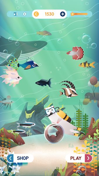 My Little Aquarium – Free Puzz 1