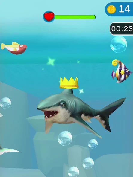 Shark Frenzy 3D 1