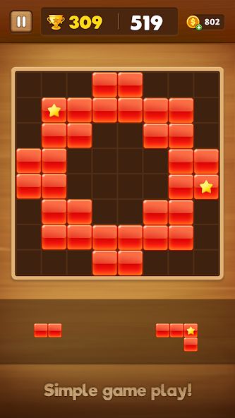 Perfect Block Puzzle 1