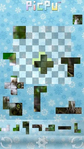 PicPu – Cat Picture Puzzle 1