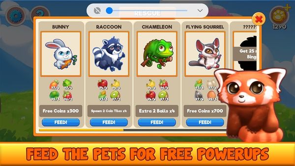 Bingo Pet Rescue 1