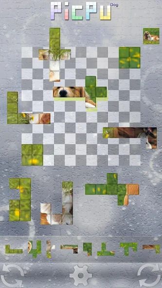 PicPu – Dog Picture Puzzle 1