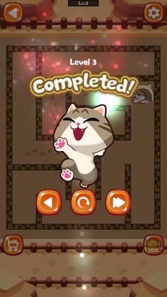 Maze Cat – Rookie 1