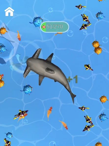 Shark Frenzy 3D 1