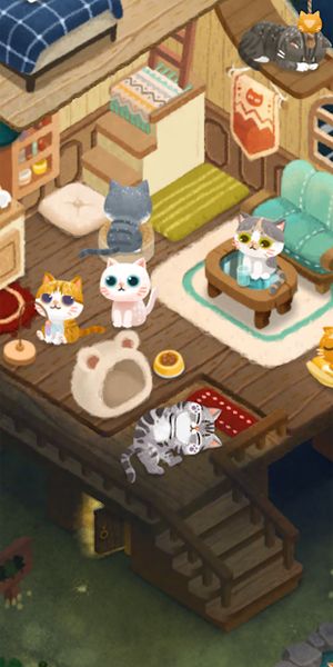 Secret Cat Forest 1