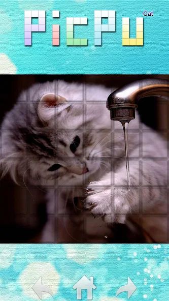 PicPu – Cat Picture Puzzle 1