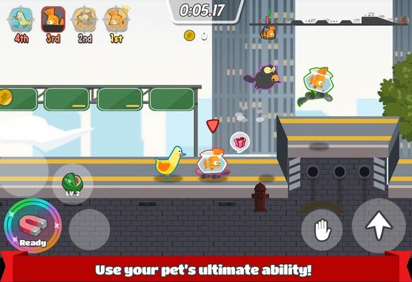 Pets Race – Fun Multiplayer PvP Online Racing Game 1