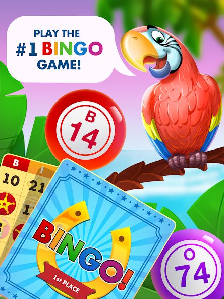 Bingo Country Days: Live Bingo 1