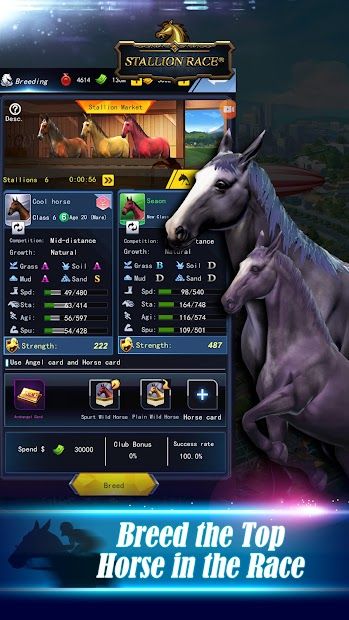Stallion Race