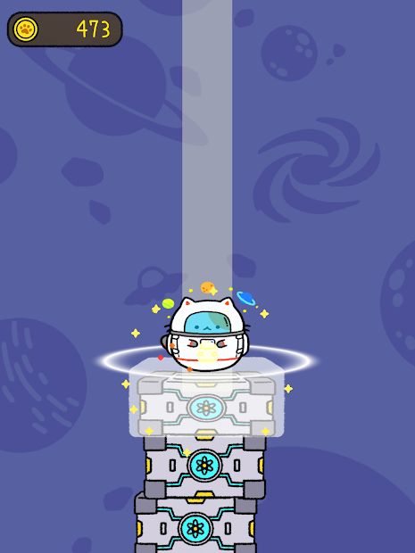 Puni Cat