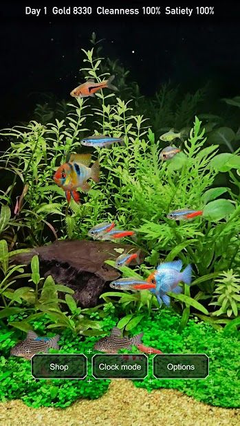 Tropical Fish Tank - Mini Aqua