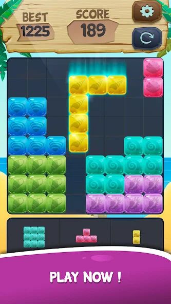 Block Puzzle Blast