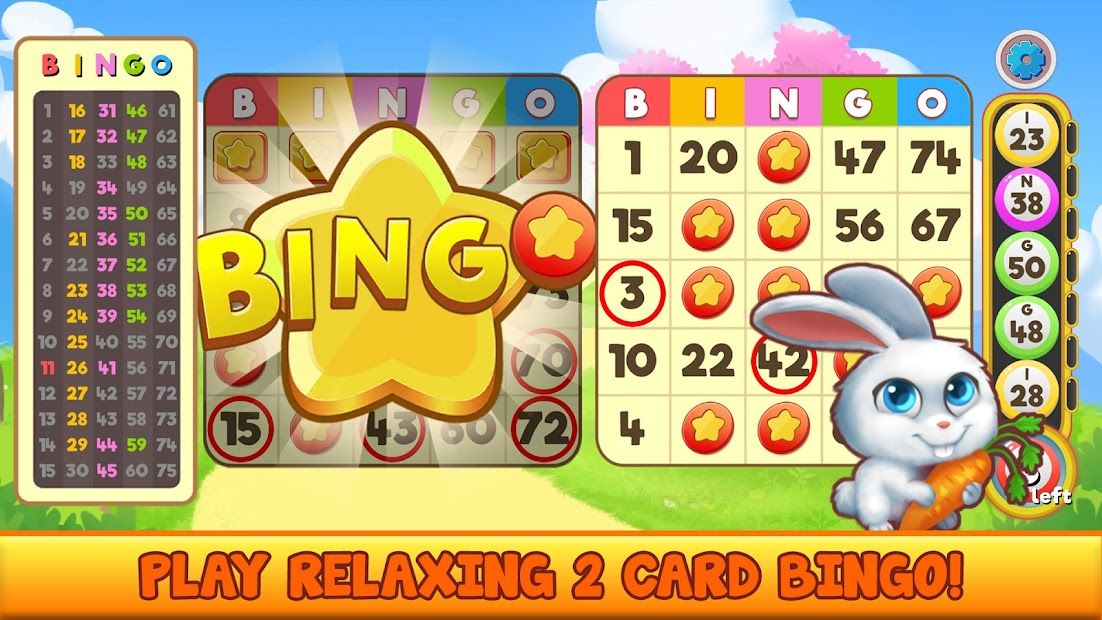 Bingo Pet Rescue