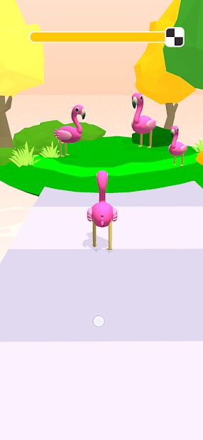 Animal Evolution