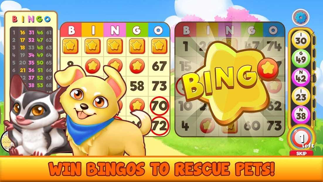 Bingo Pet Rescue
