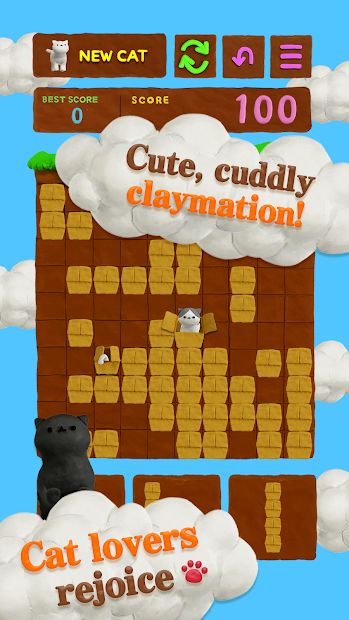 Cat Puzzle