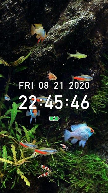 Tropical Fish Tank - Mini Aqua
