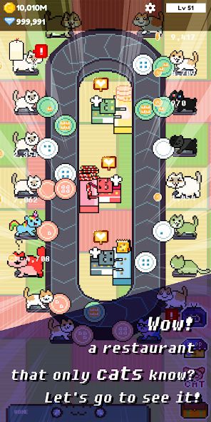 Cat Restaurant!