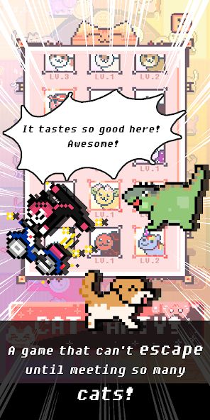 Cat Restaurant!