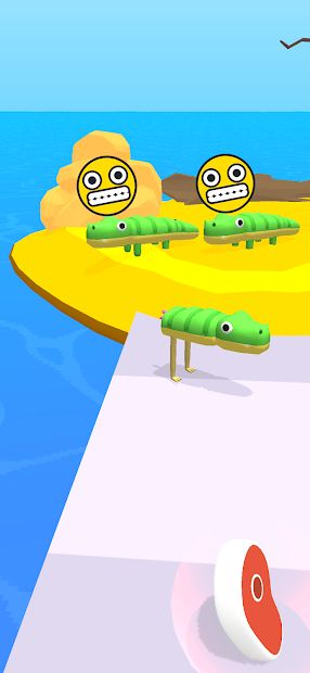Animal Evolution