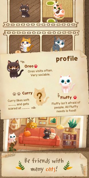 Secret Cat Forest