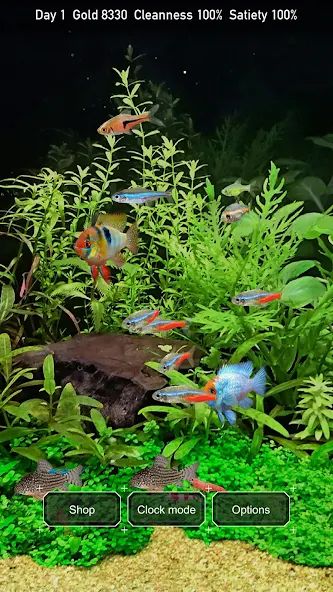 Tropical Fish Tank - Mini Aqua