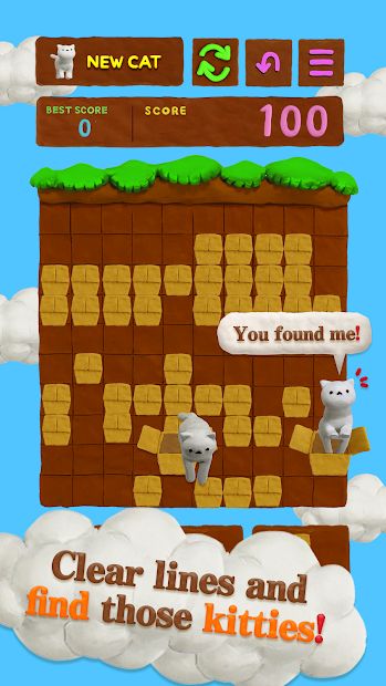 Cat Puzzle