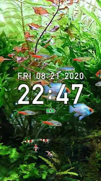 Tropical Fish Tank - Mini Aqua