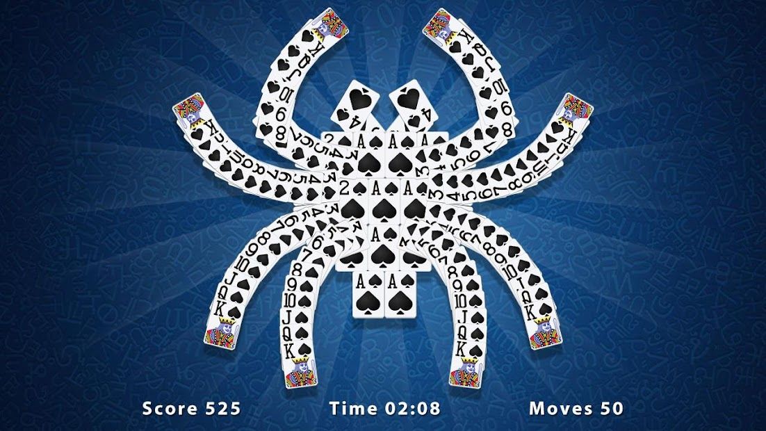 Spider