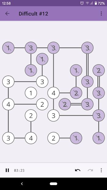 Hashi Puzzle