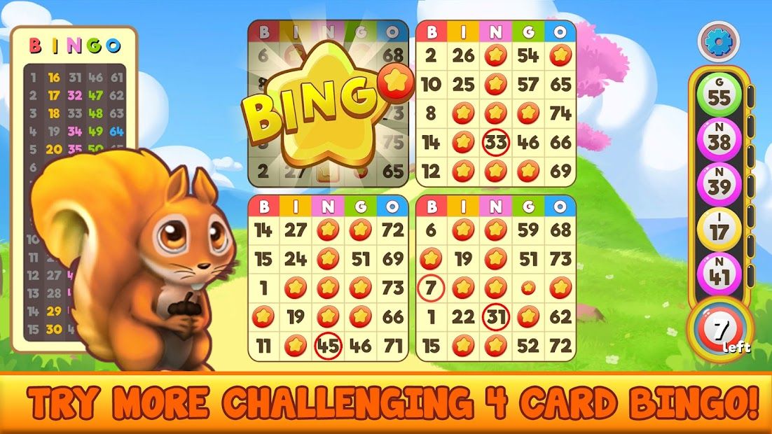 Bingo Pet Rescue