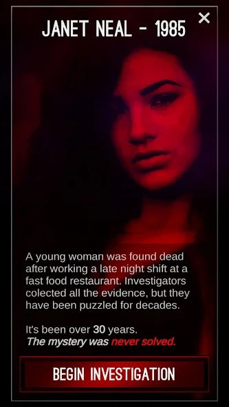 Detective: Detroit Crime Story