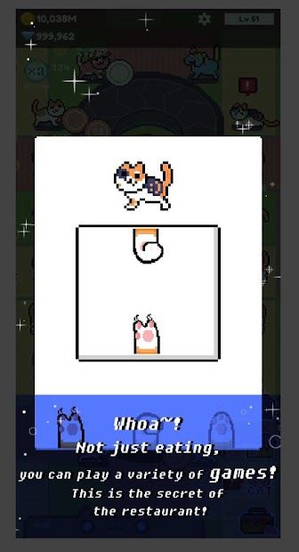 Cat Restaurant!