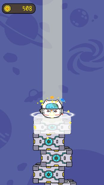Puni Cat