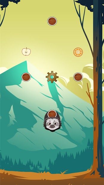 Zoo Animal Jump