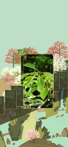 Farmer And Tree