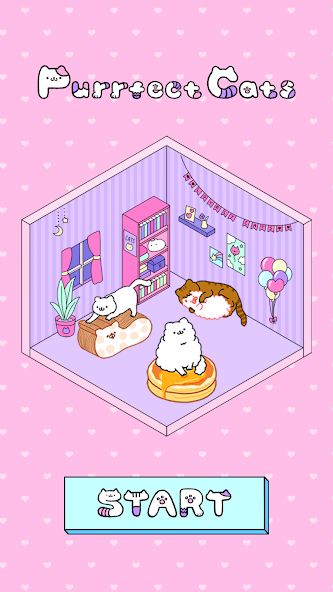 Purrfect Cats