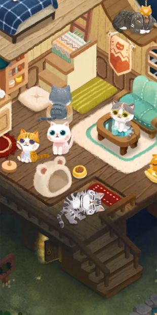 Secret Cat Forest