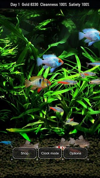 Tropical Fish Tank - Mini Aqua